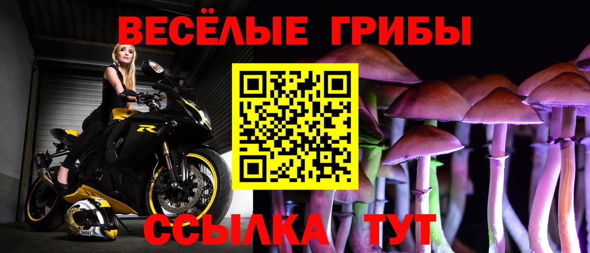 Галлюциногенные грибы ЛСД Сыктывкар